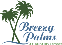 breezy palms logo