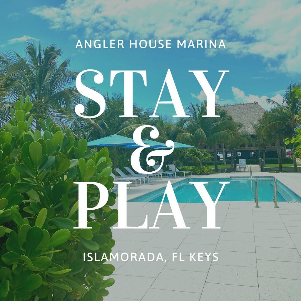 Tranquil Angler House Marina pool surrounded by lush greenery under a clear blue sky in Islamorada, Florida Keys